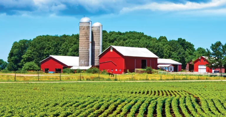 Agricultural Land Selling Complete Guide to Successful Sales