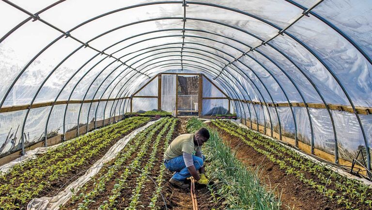 Farm Realtor Complete Guide to Agricultural Real Estate and Land Investment Success